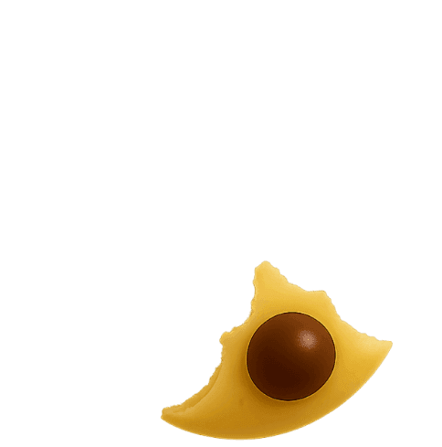 Biscuit 6